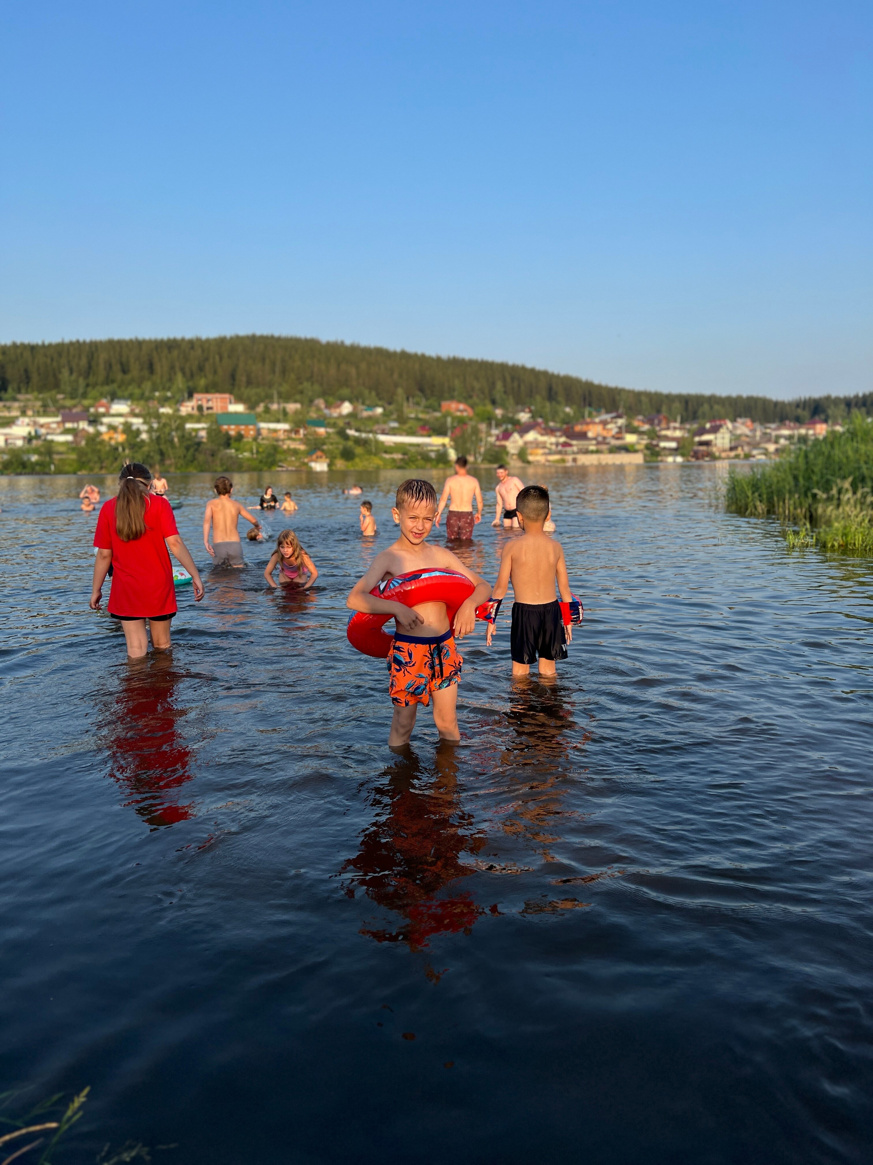 Фото Аура тополей