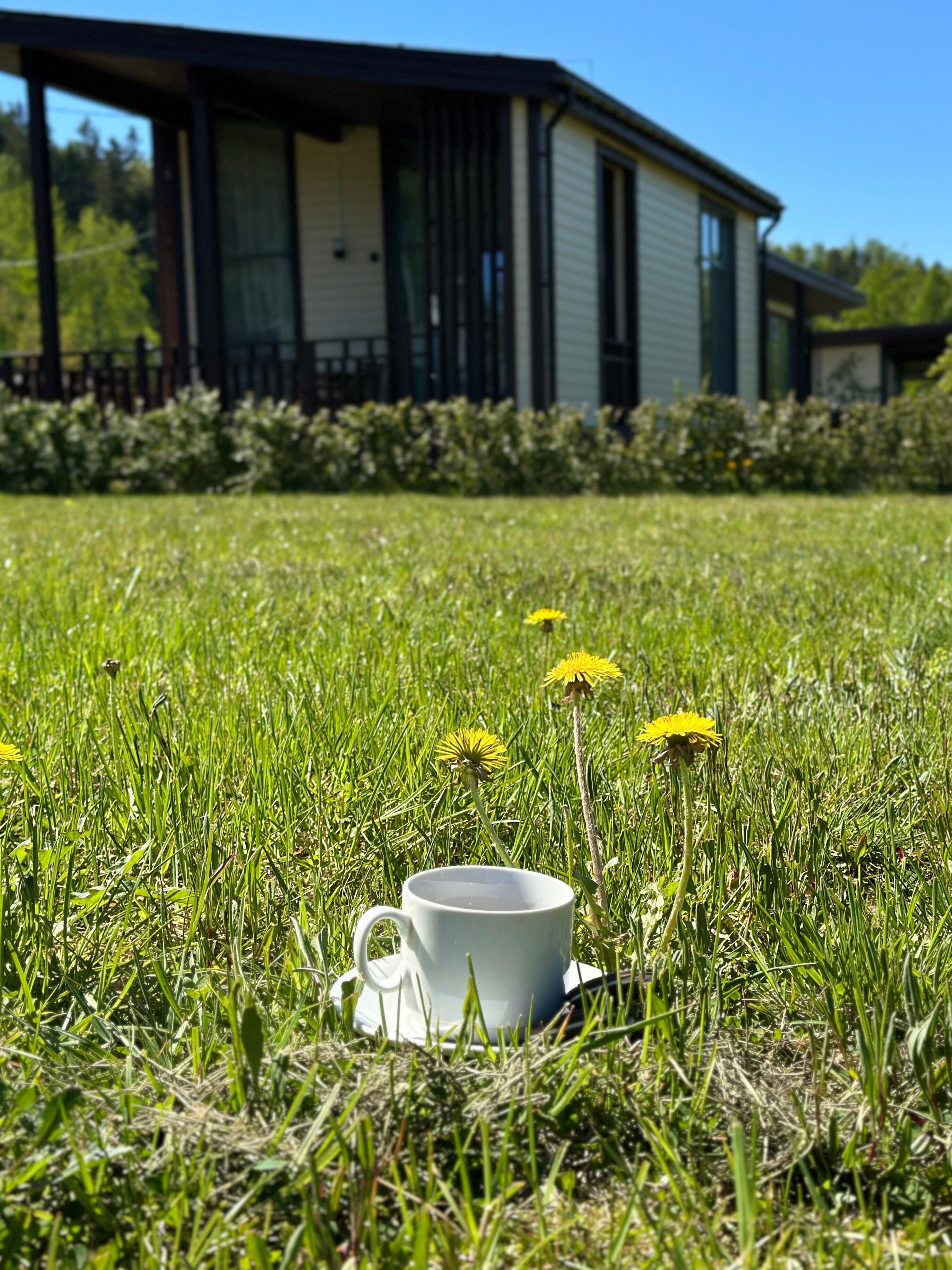 Фото Логи Апарт