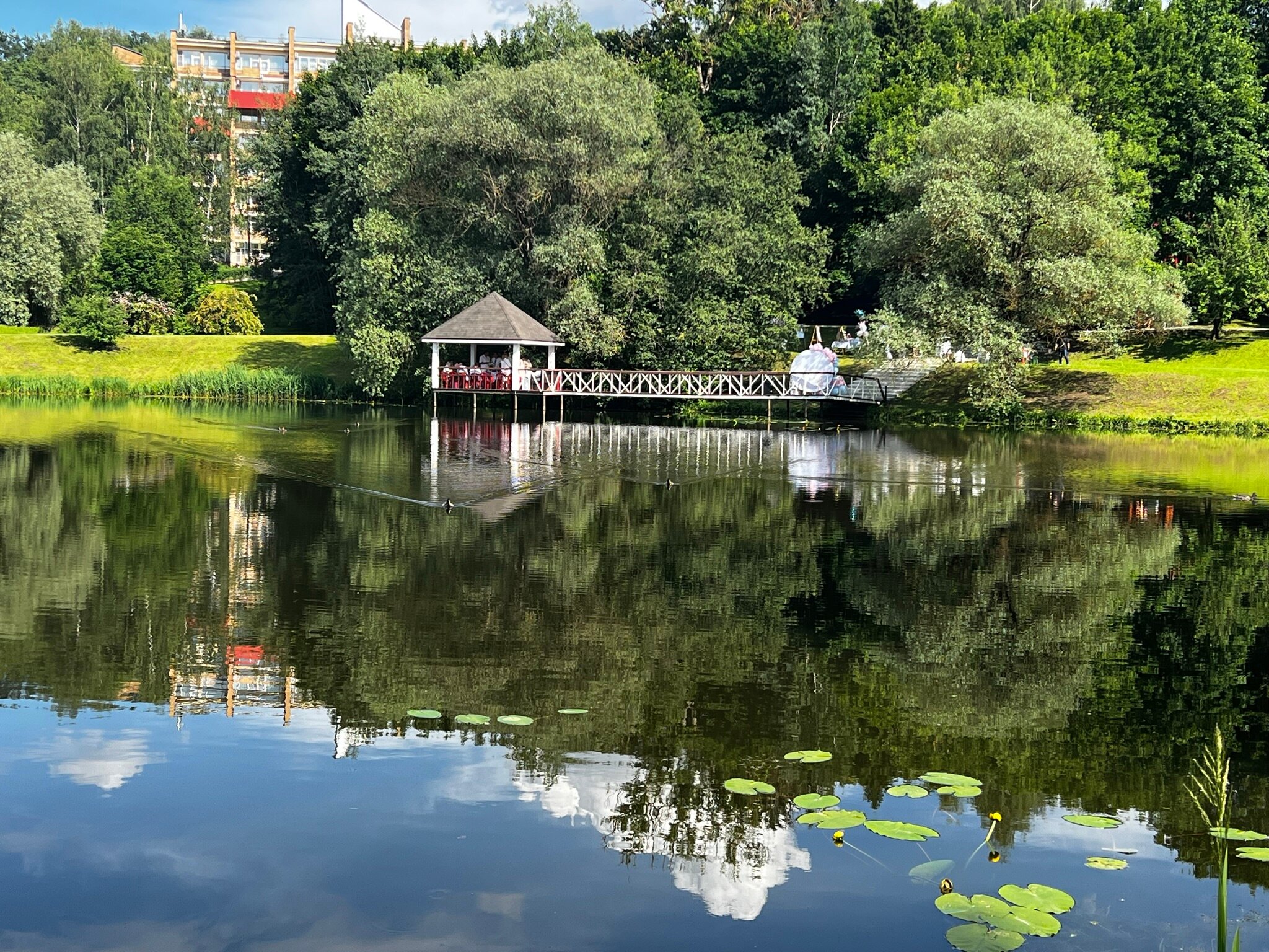 Фото Планерное