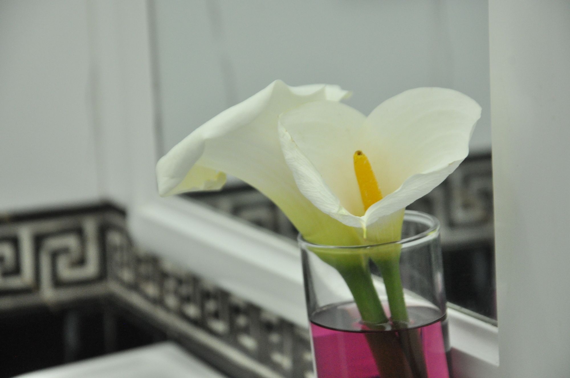 Фото Inroma Holiday Resort