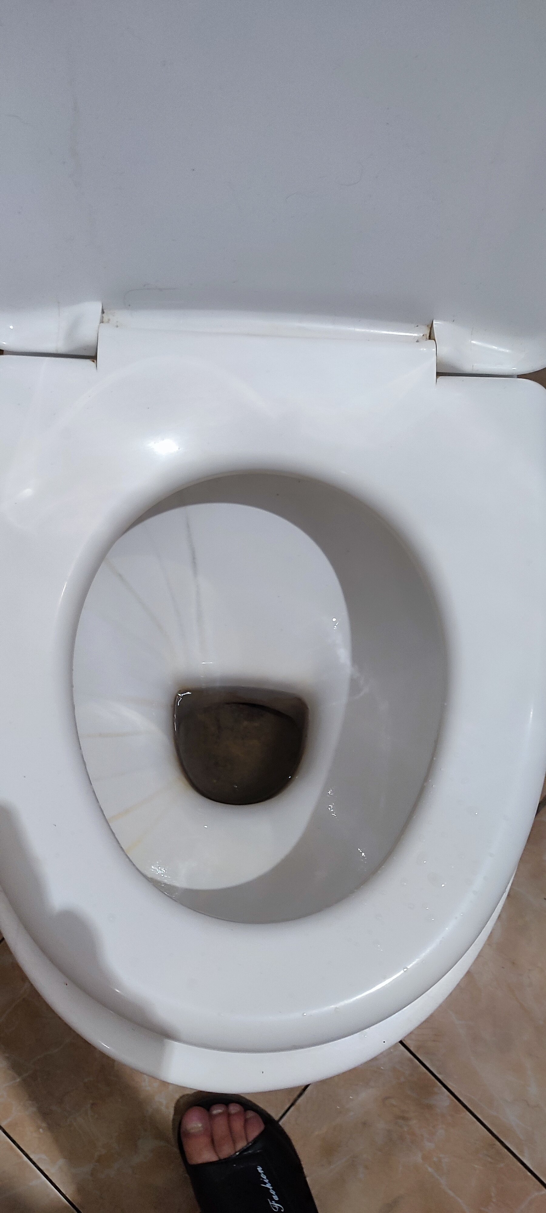 Фото Отдых