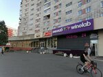 Осень (Morskoy prospekt, 22) ، حانة، بار