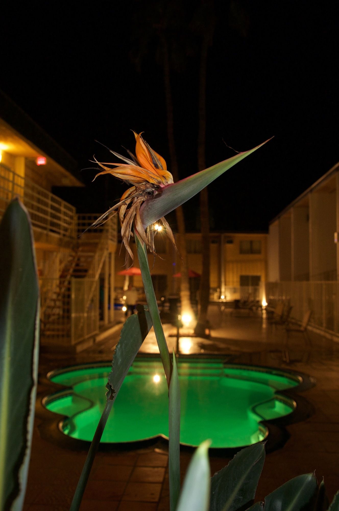 Фото Delos Reyes Palm Springs