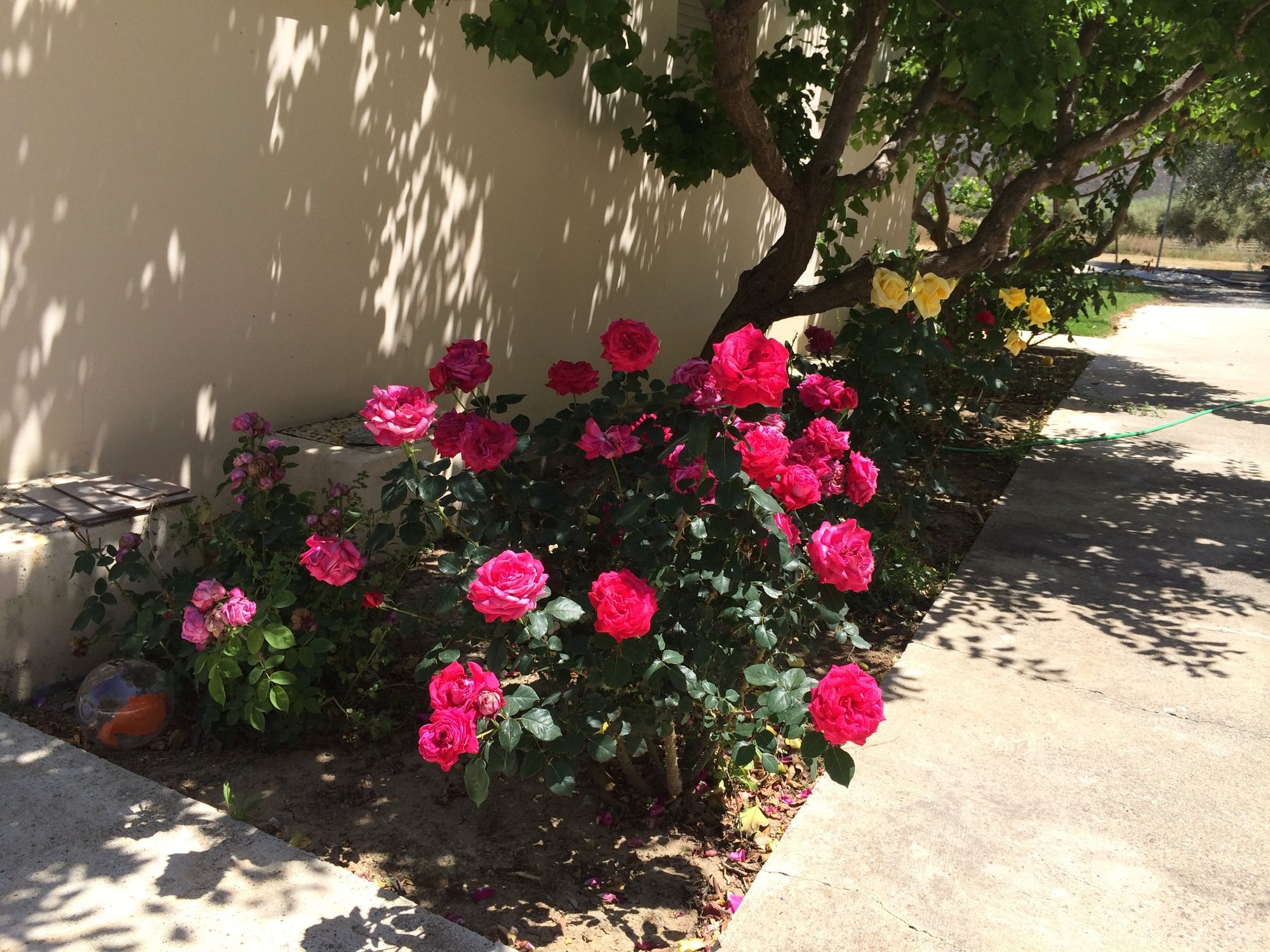 Фото Himonas Apartments