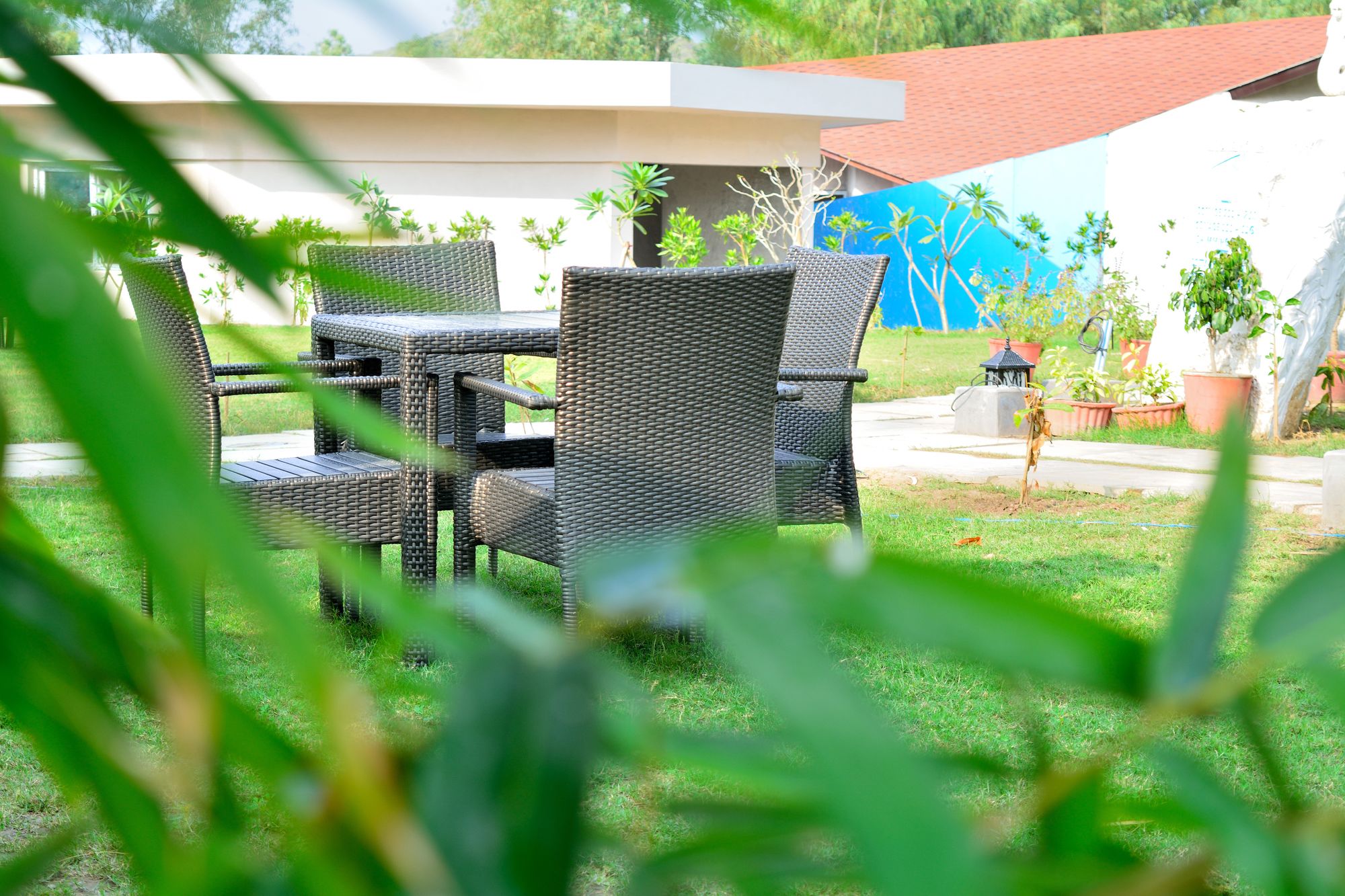 Фото Bamboo Saa Resort & SPA