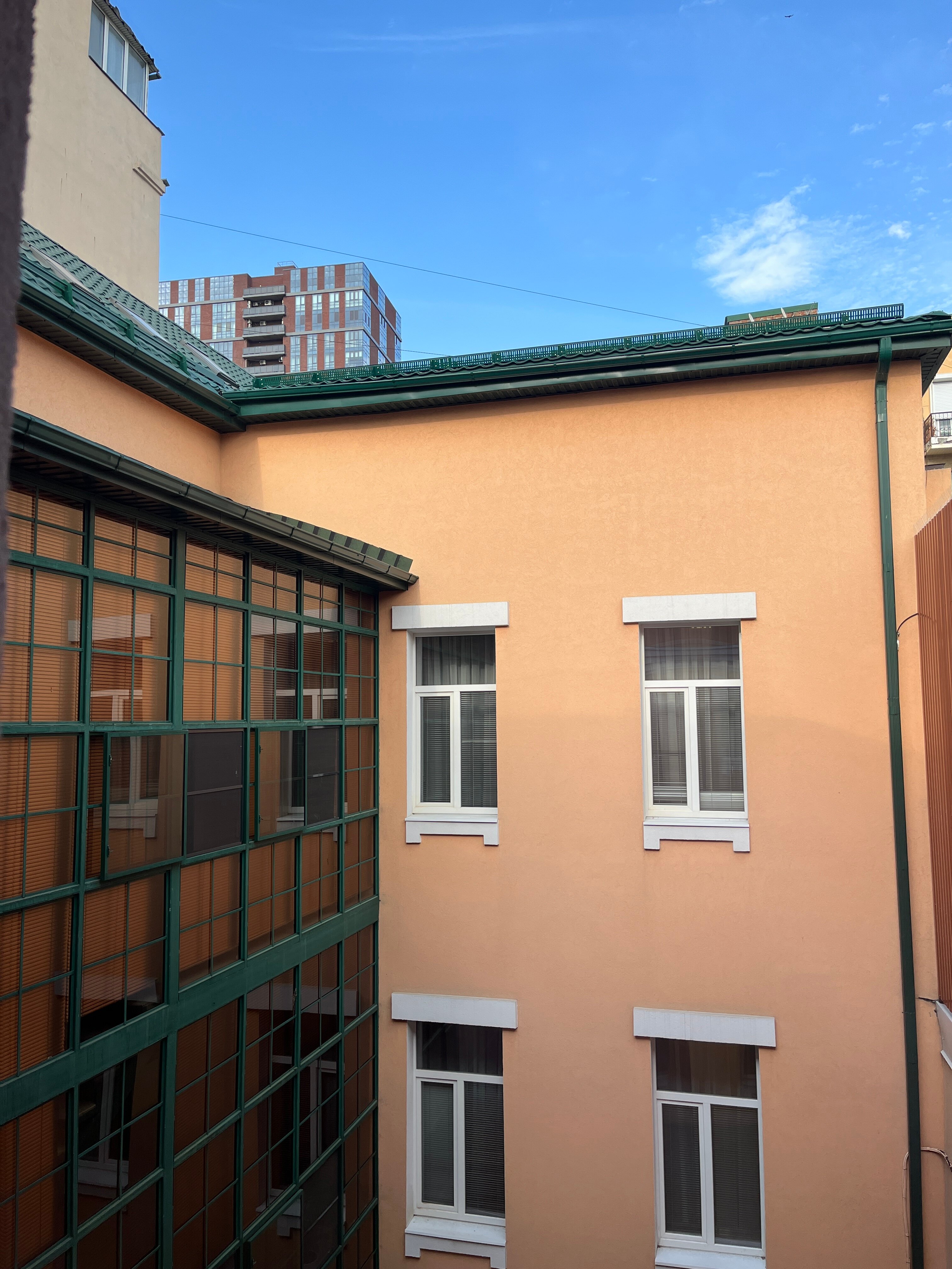 Фото Пальма