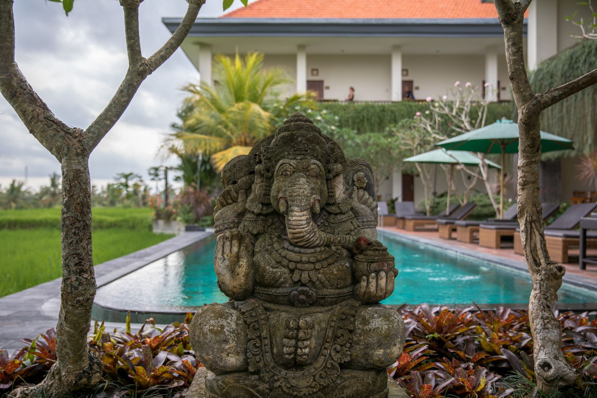 Фото Artini Bisma Ubud Hotel