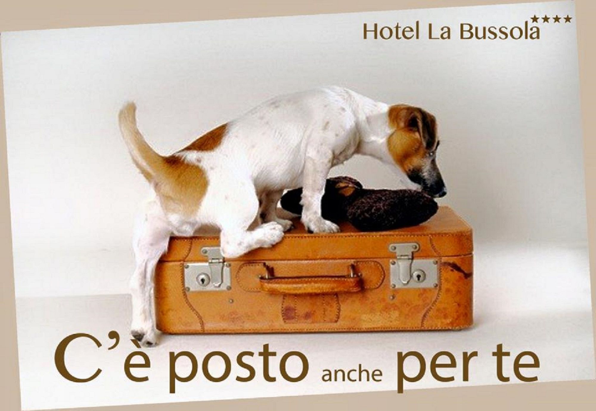 Фото Hotel La Bussola