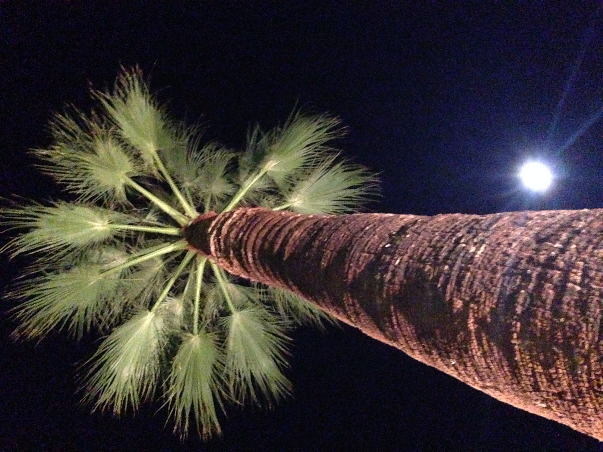 Фото Beverly Laurel Hotel