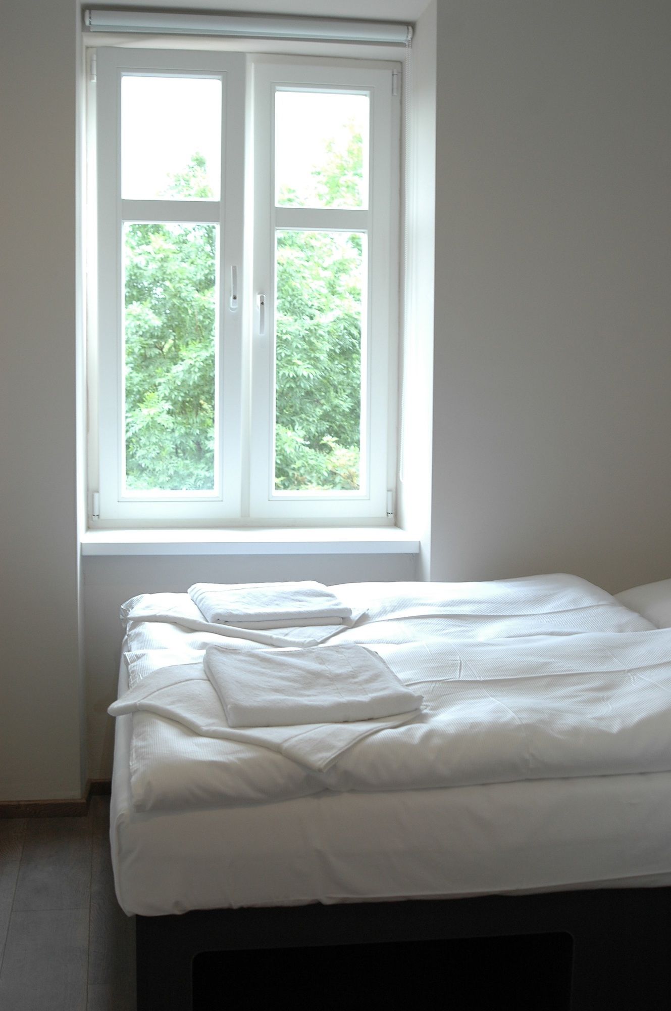 Фото 74096153929