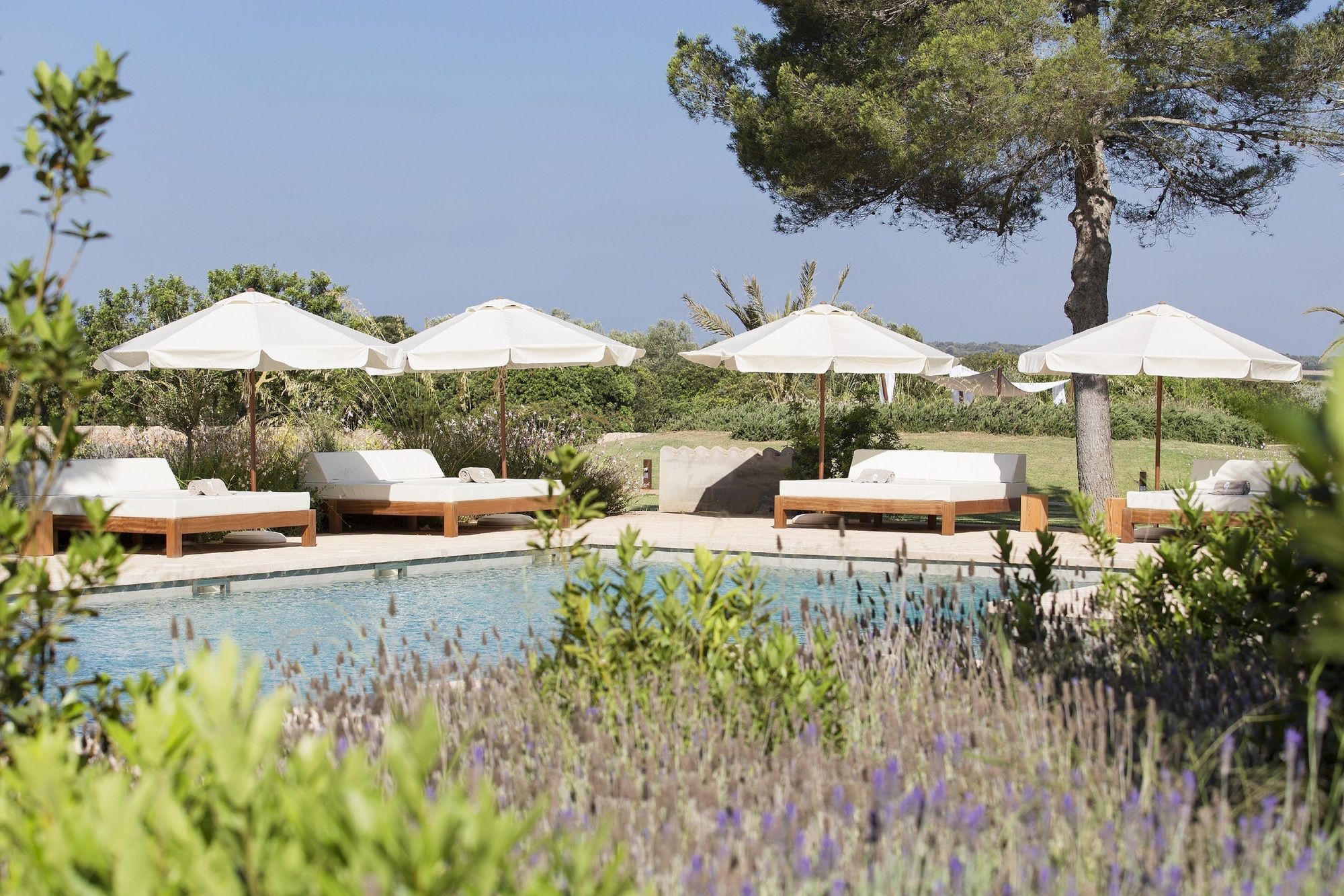 Фото Fontsanta Hotel Thermal SPA & Wellness - Adults Only