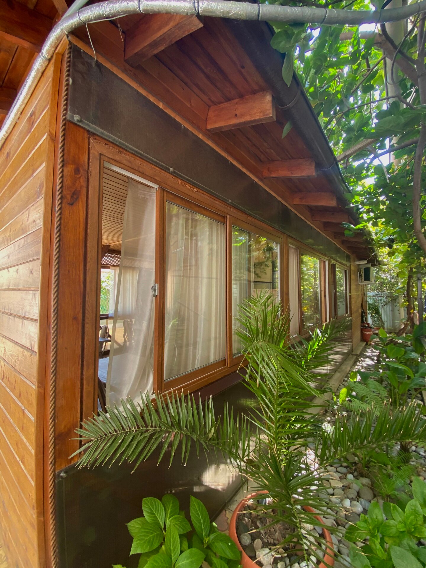 Фото Александра