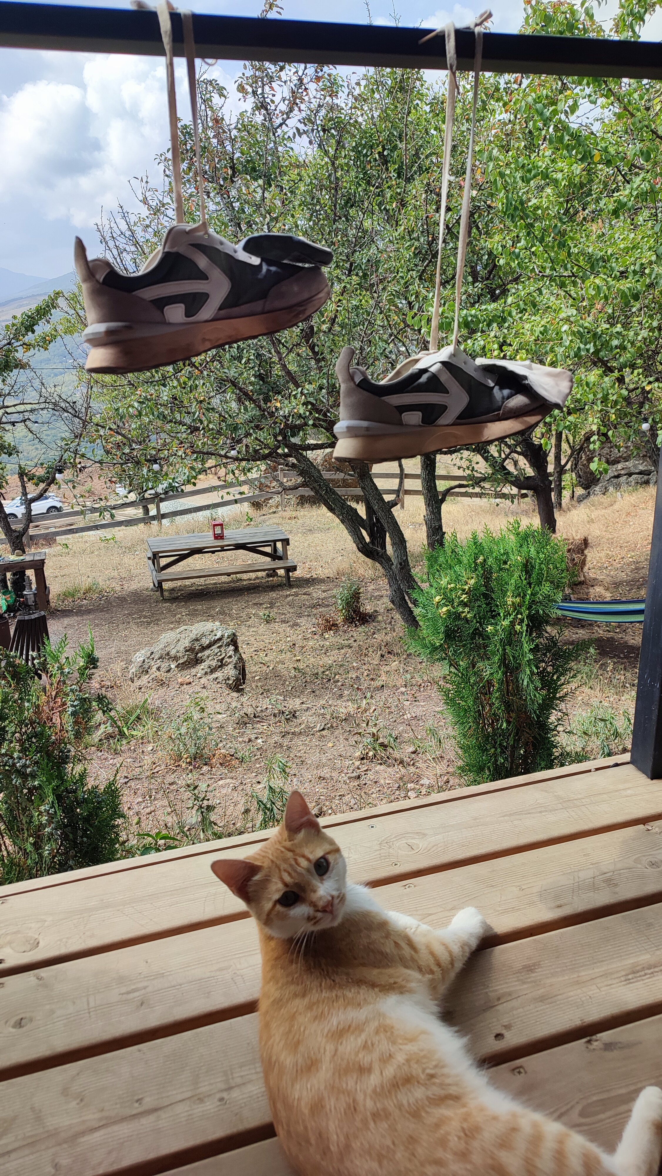 Фото Домик в горах