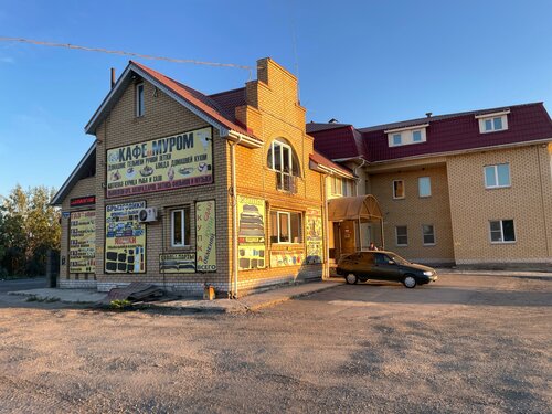 Cafe XXI Vek, Vladimir Oblast, photo