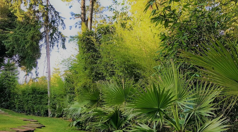 Фото Engy Estoril - Luxury Villas