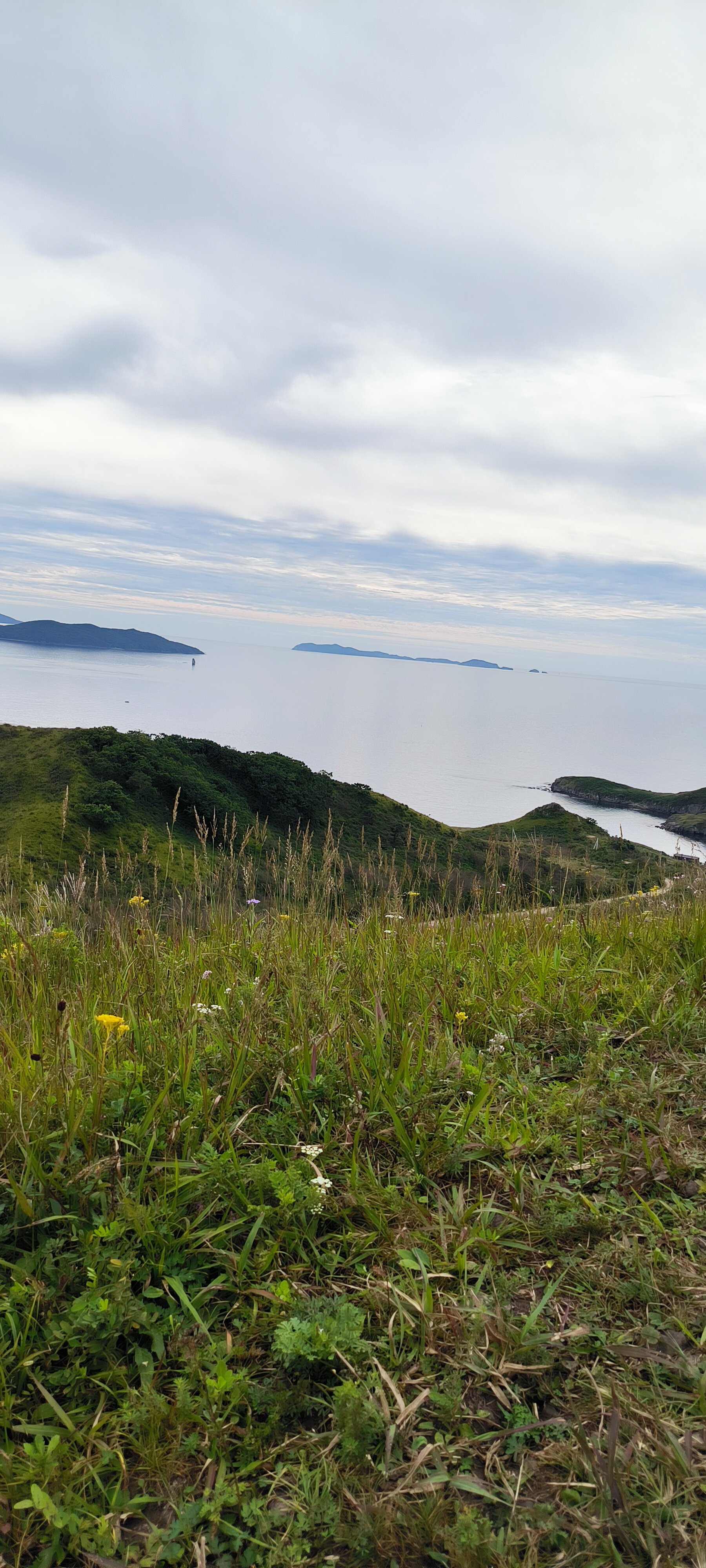 Фото Гружевские