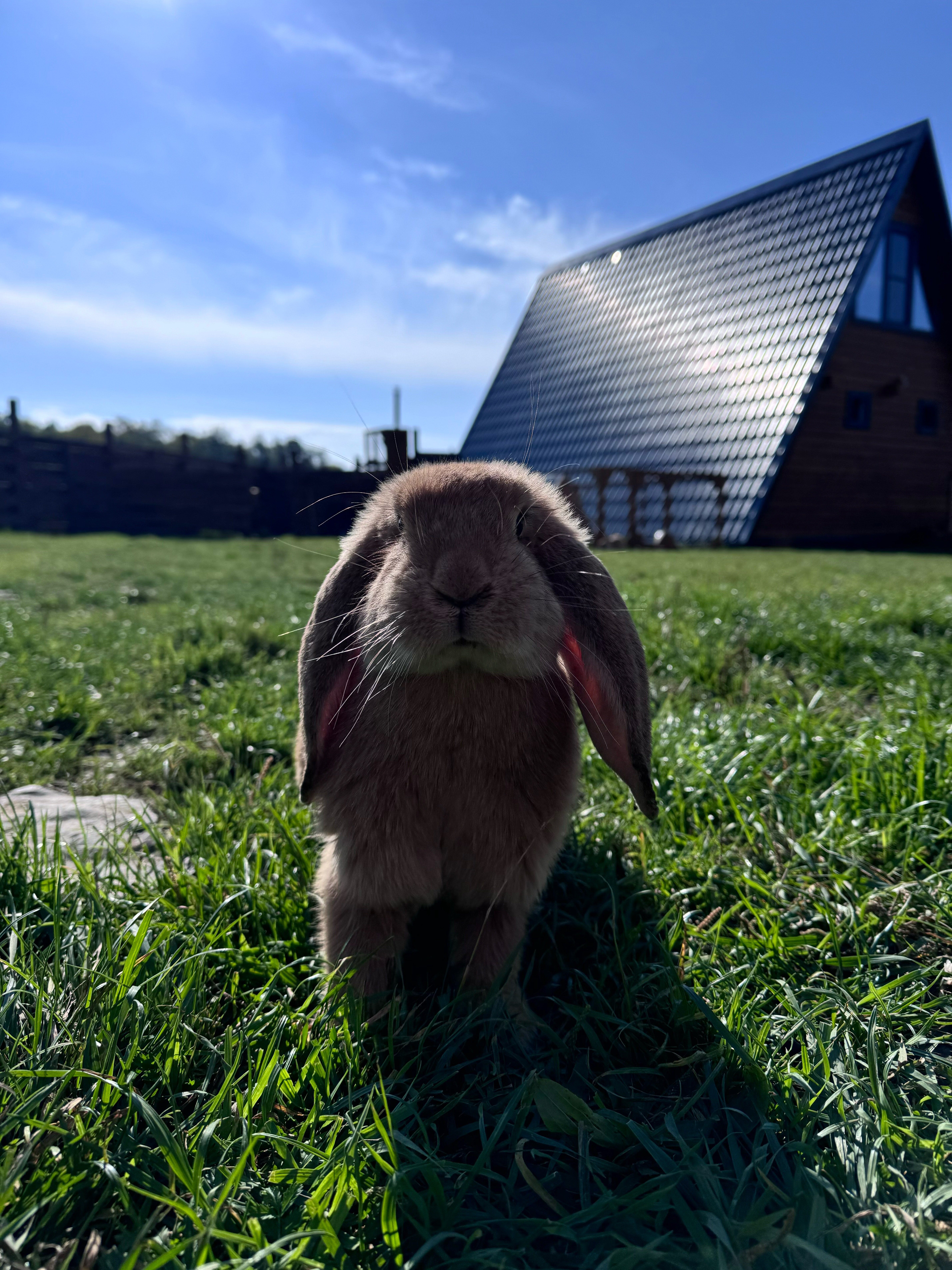 Фото Остров 7 тополей
