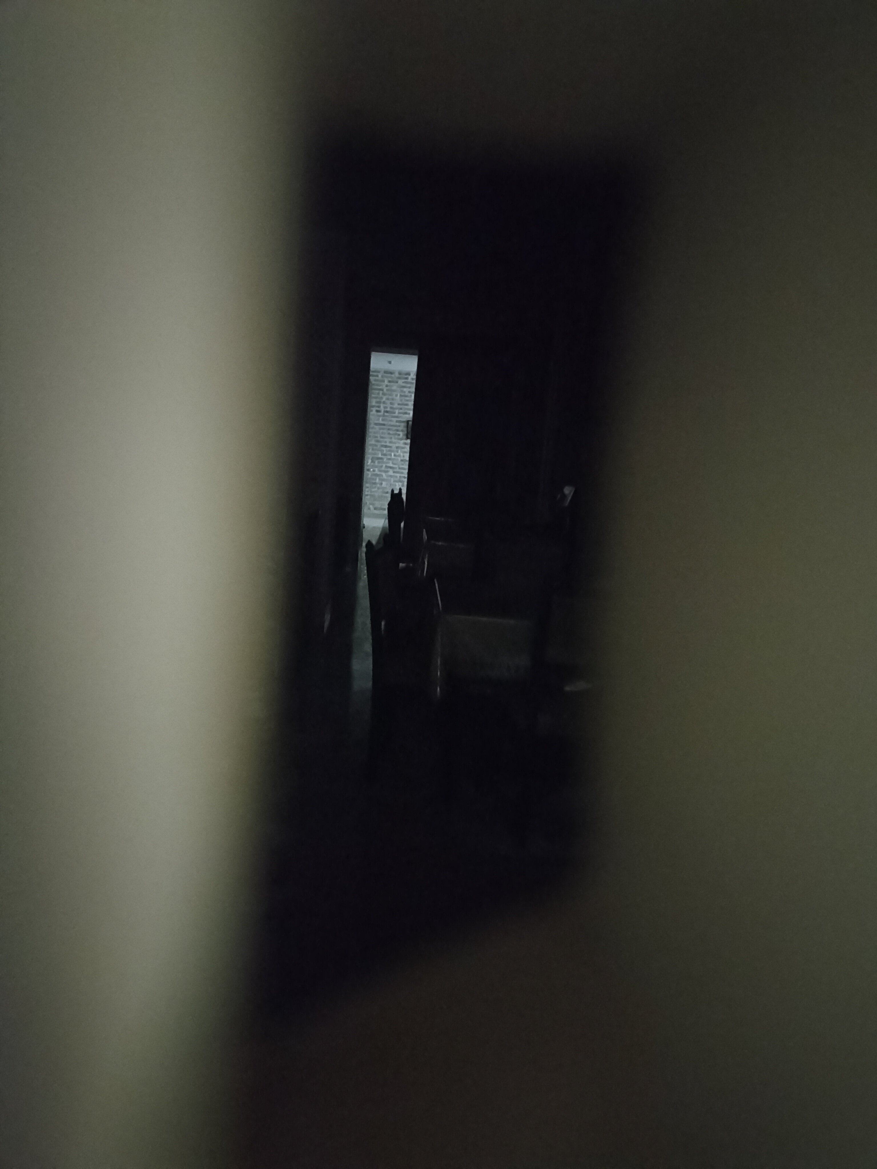 Фото Crystal Hotel Bukhara