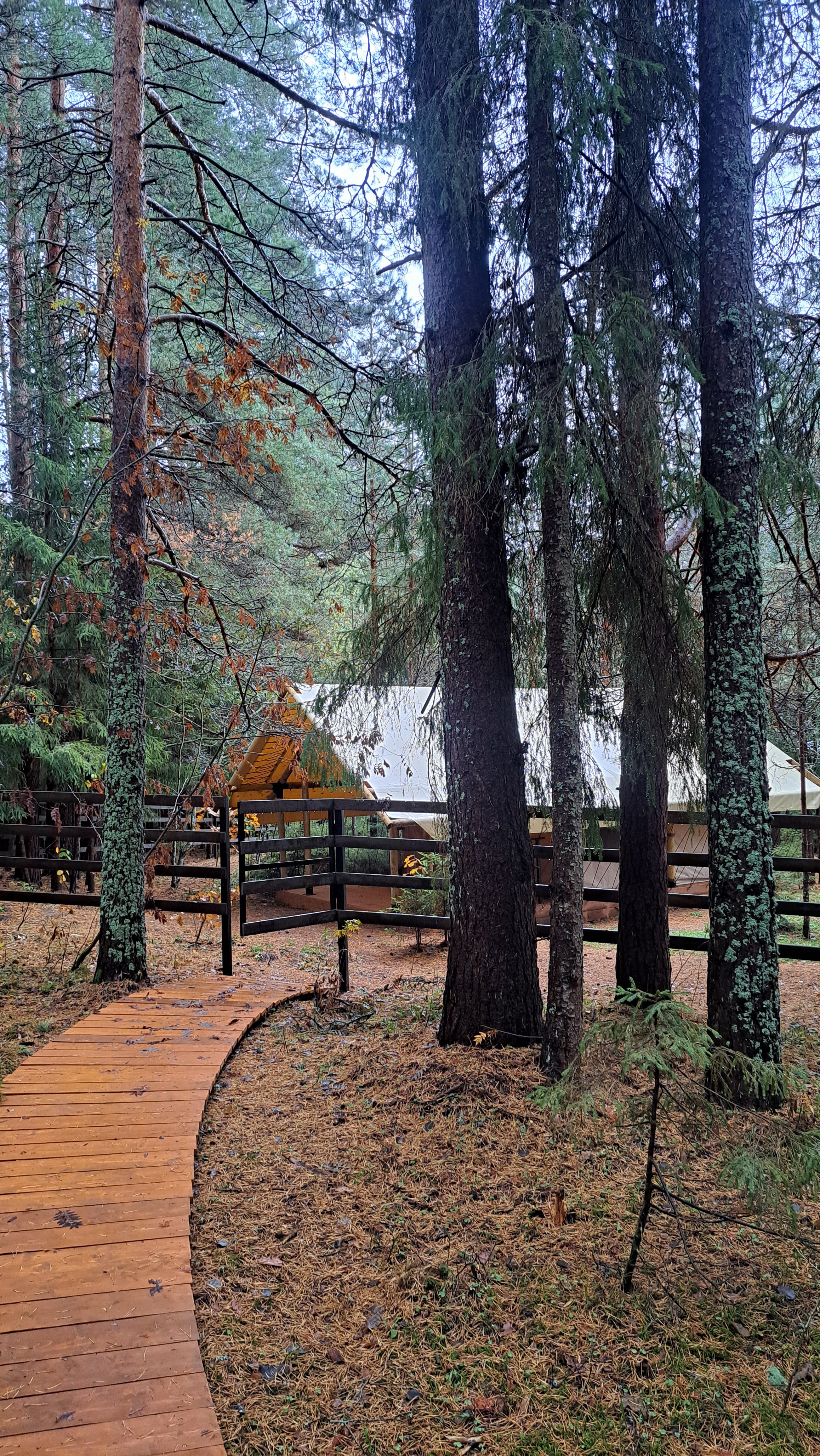 Фото Селигерия