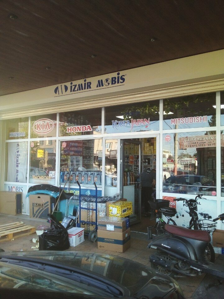 Auto parts and auto goods store İzmir Mobis, Izmir, photo