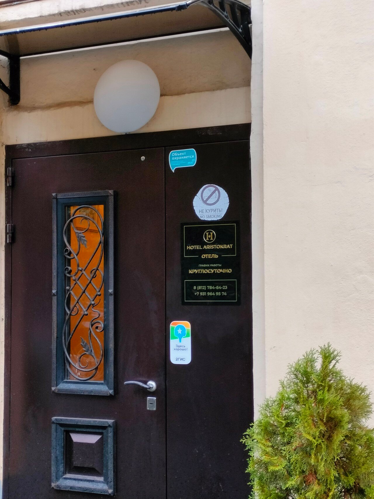 Фото Аристократ