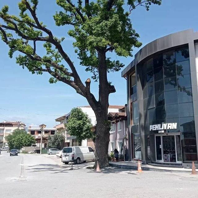 Department store Pehlivan Avm, Geyve, photo