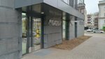 Сыры & Хамон (Shalyapina Street, 26) ، متجر جبن