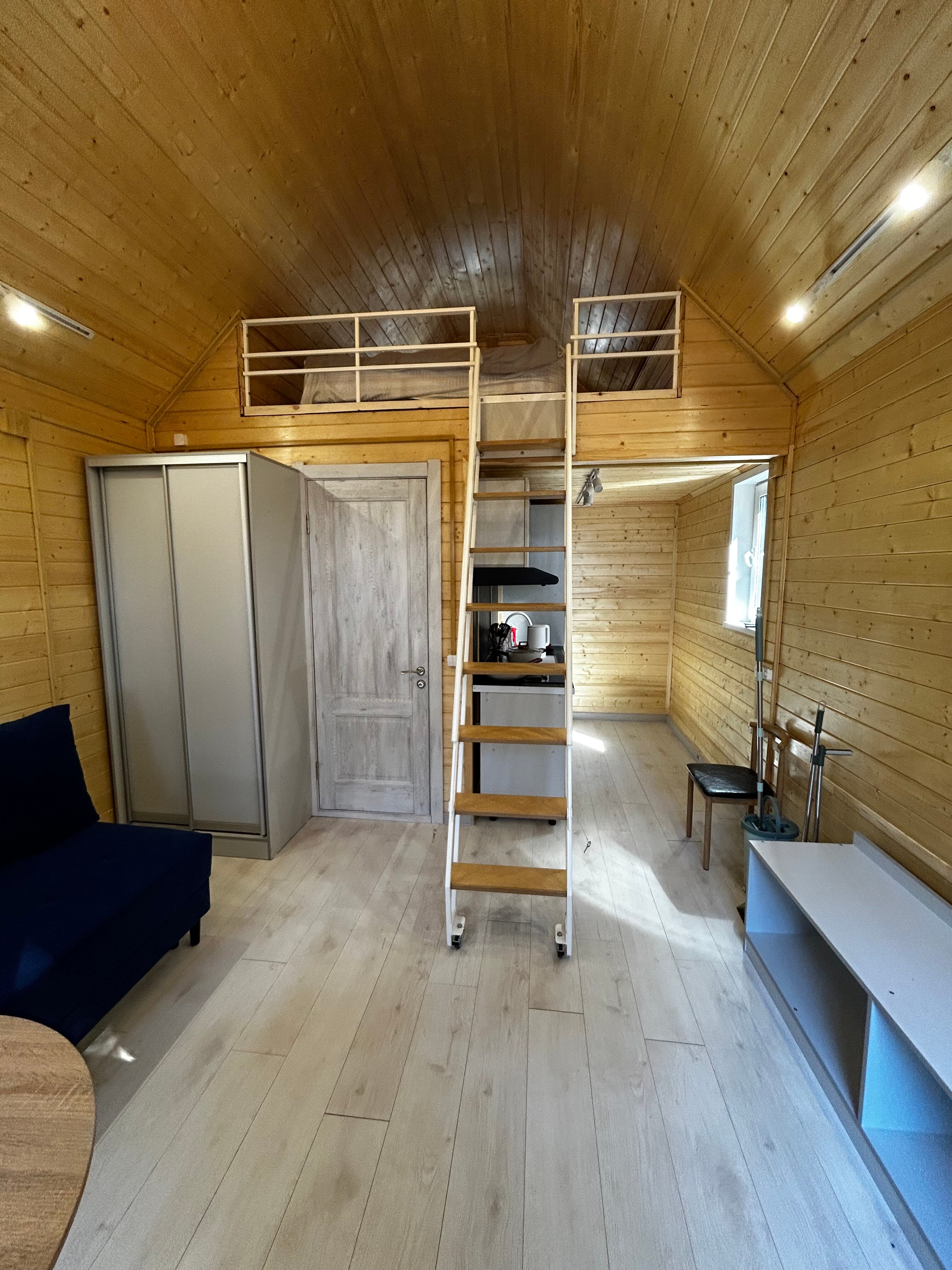 Фото Багульник