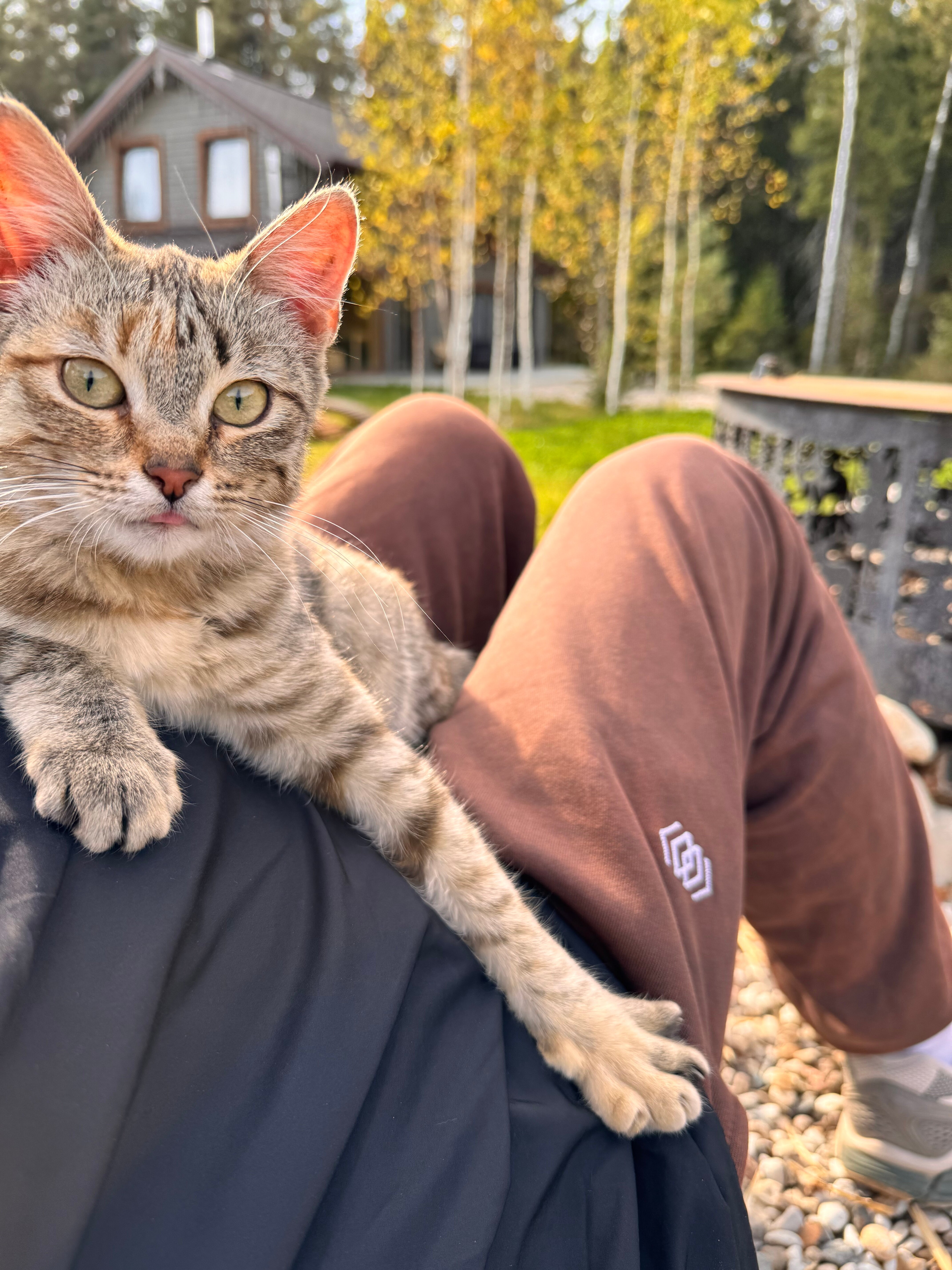 Фото Винни-Вилла