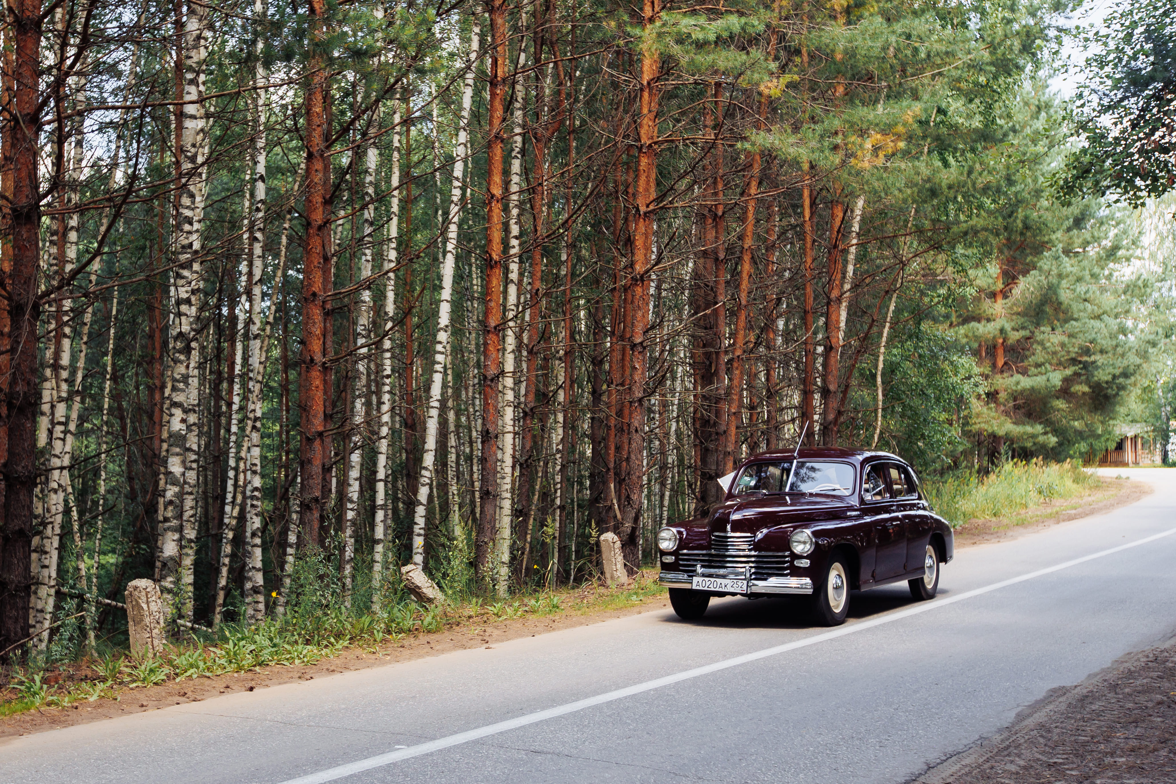 Фото Изумрудное