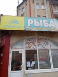 Solnechny bereg (Fridrikha Engelsa Avenue, 4А), fish and seafood