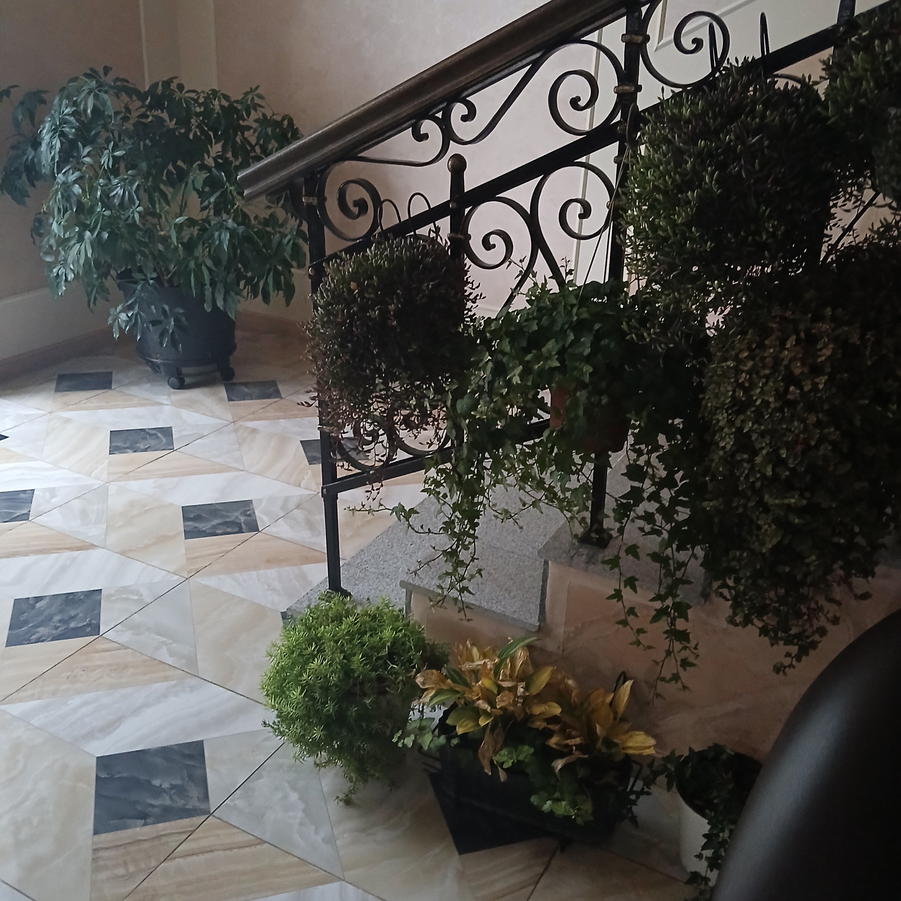 Фото Маргаритовъ