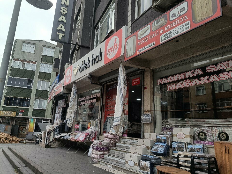 Carpet shop Minis carpets and furniture, Istanbul, photo