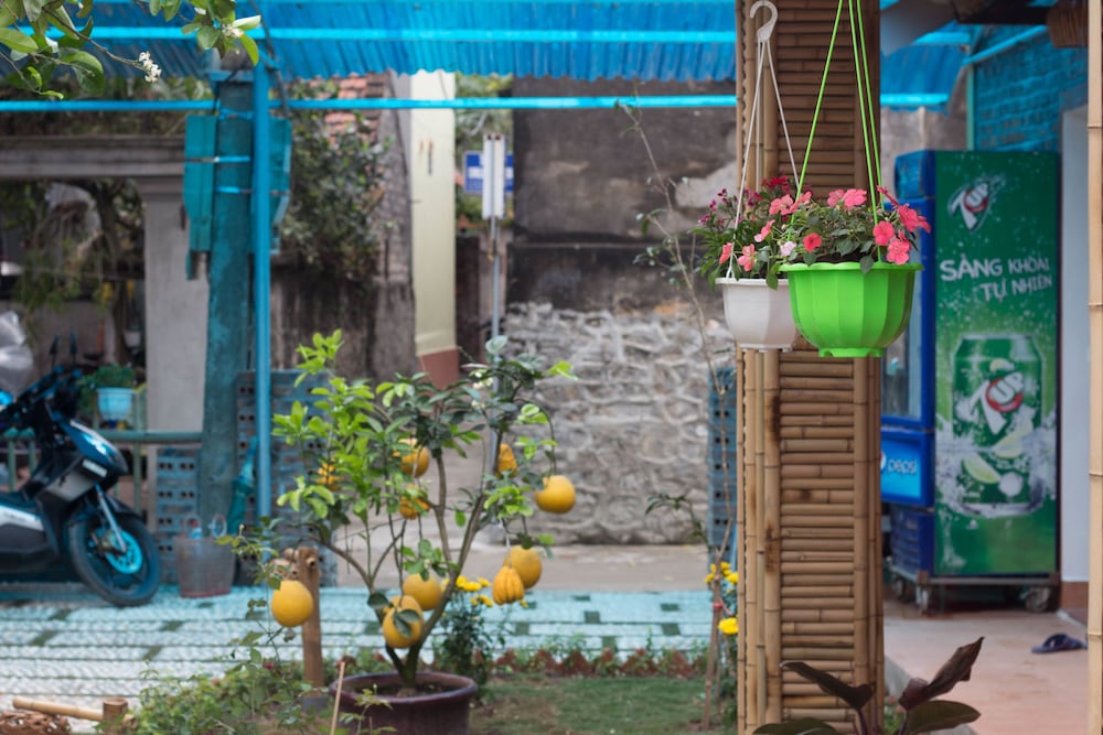 Фото Tam Coc Moonlight Bungalow