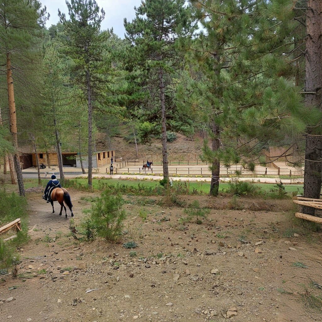 Landmark, attraction Bulbul Spring Picnic Area, Eldivan, photo