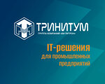 Trinitum (Vilenskiy Lane, 4), software companies