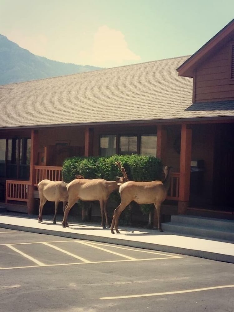 Фото Yellowstone Village Inn and Suites