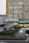 Elgun Ice Cream & Bakery Products (Kayseri, Kocasinan District, Fuzuli Cad., 2A), ice cream