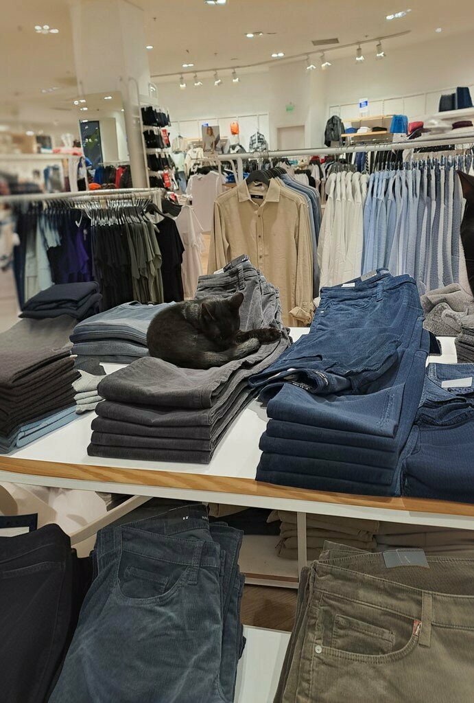 Clothing store Blue, Izmir, photo