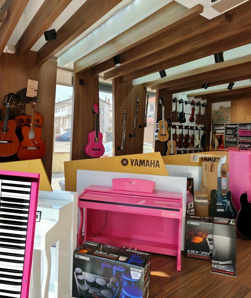 Music store Tezcan Music Academy Showroom, Isparta, photo