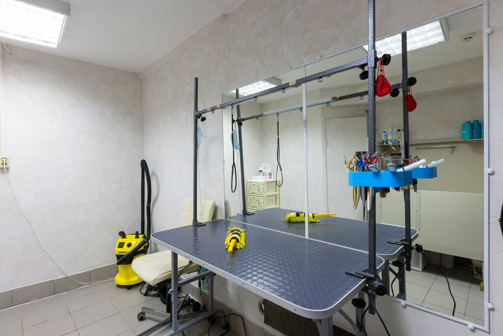 Pet salon Gruming-salon, Tula, photo