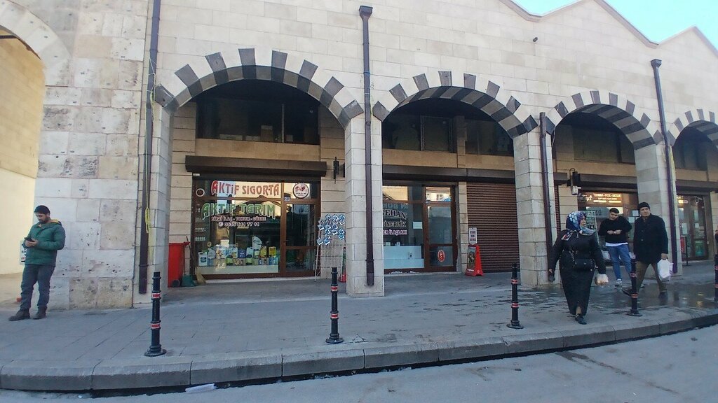 Agricultural enterprise Active Agriculture, Konya, photo