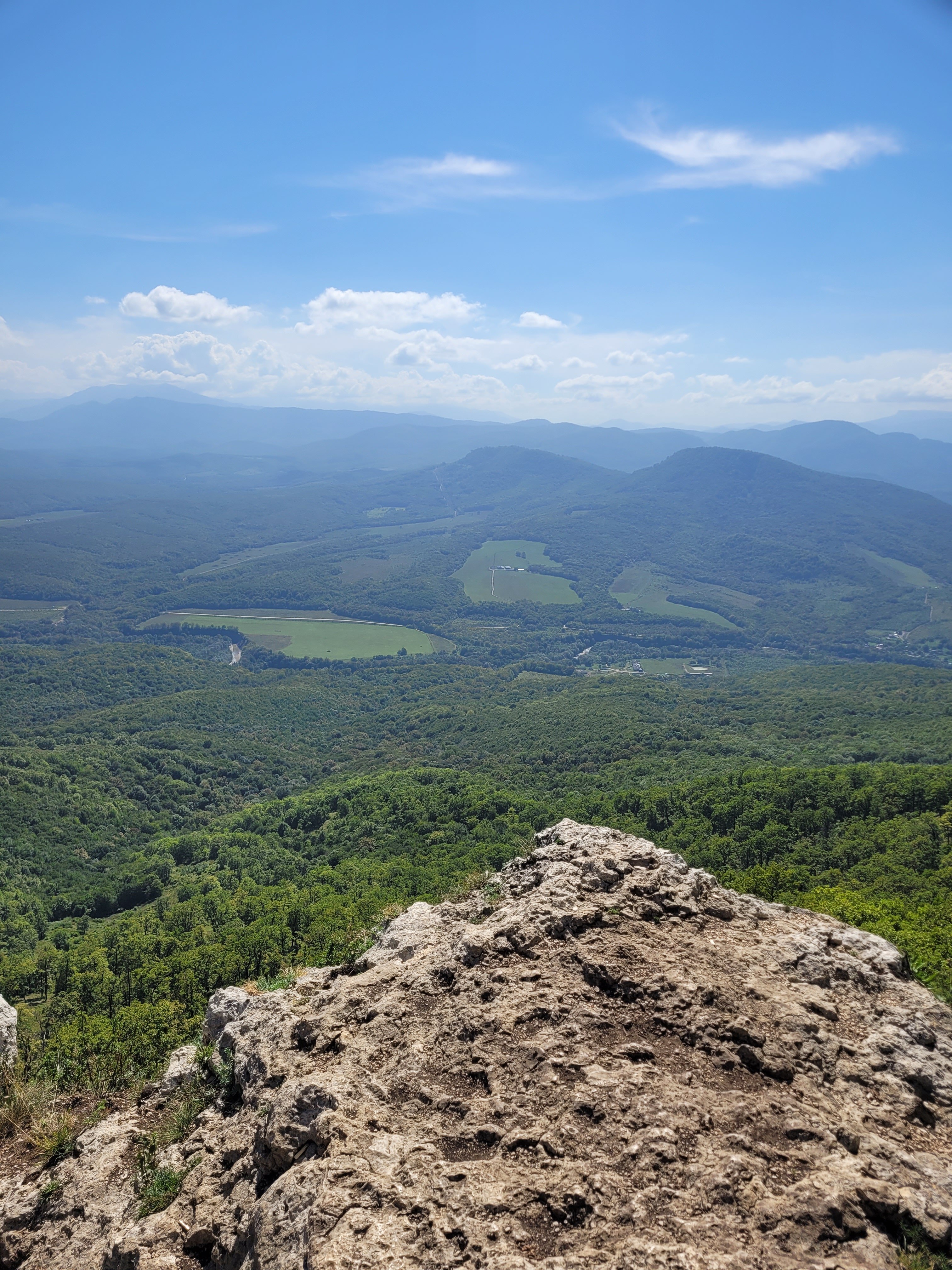 Фото Ёлки-Иголки