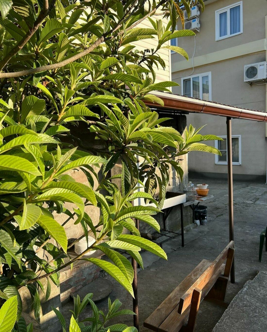 Фото Катюша