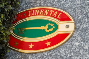 Гостиница Hotel Continental