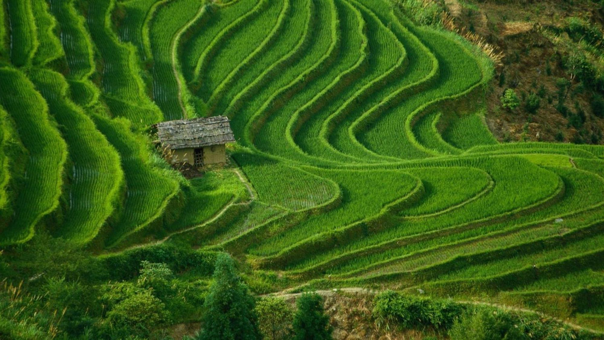 Фото The Jasmina Estate