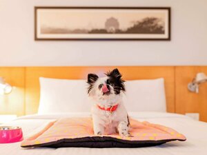 Гостиница Mercure Canberra