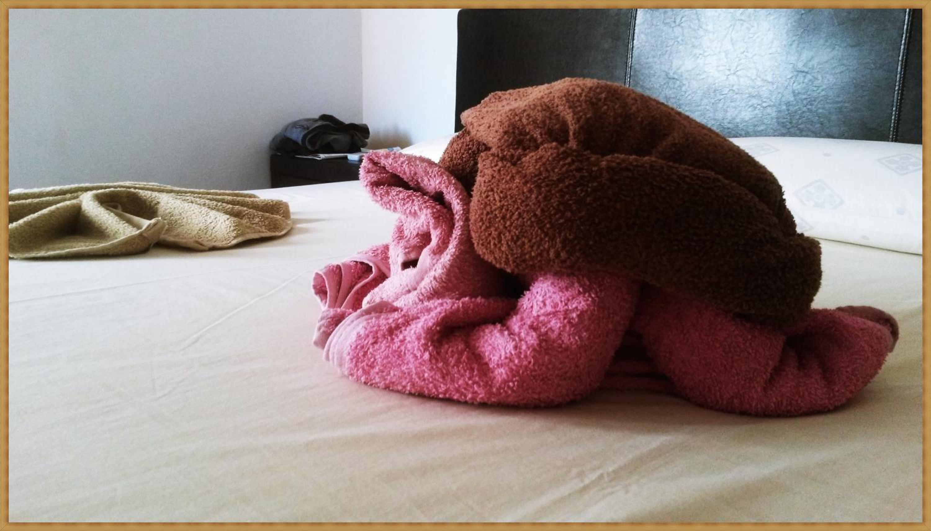 Фото Apollo Studios