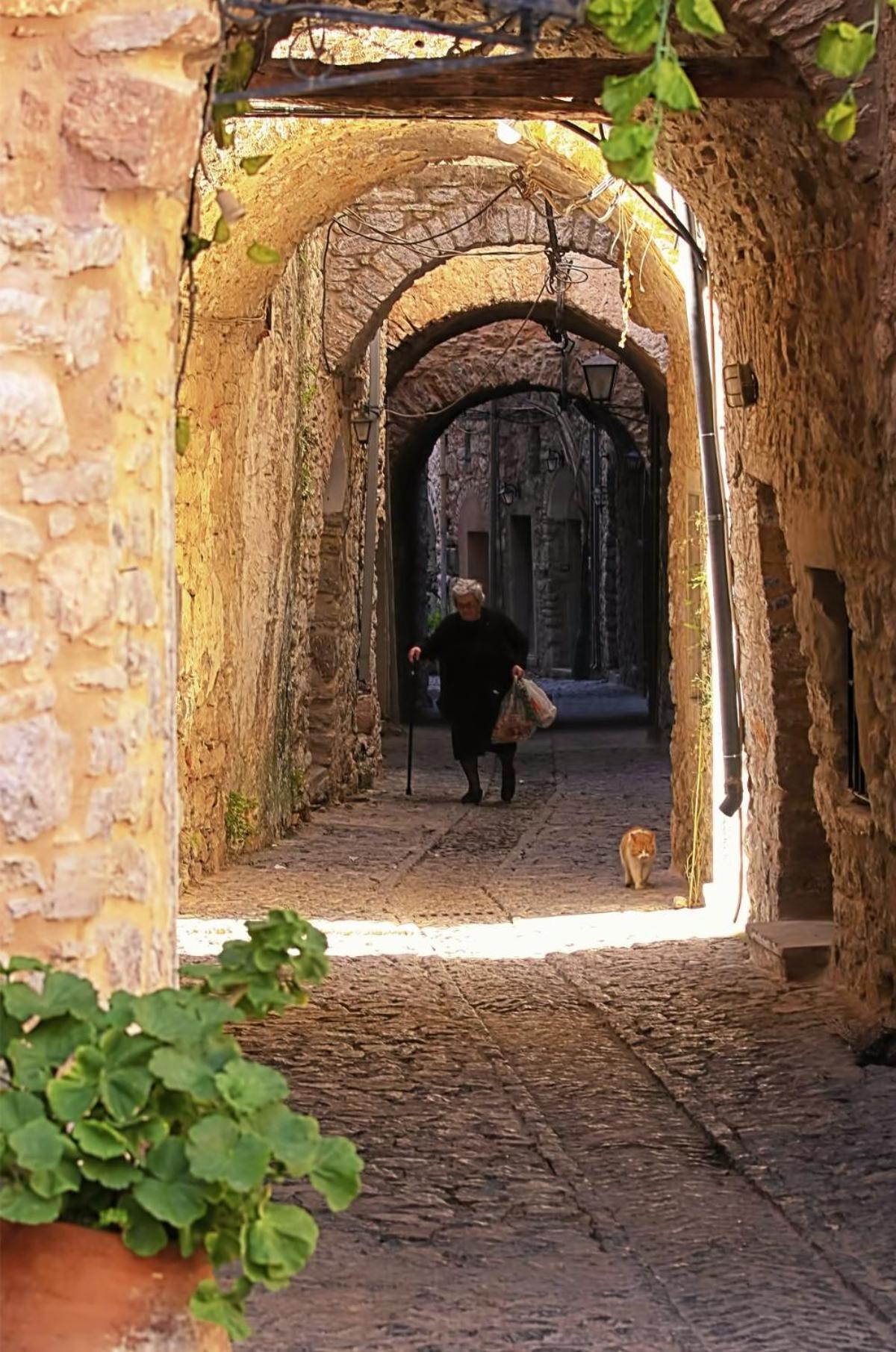 Фото Mesta Mastic