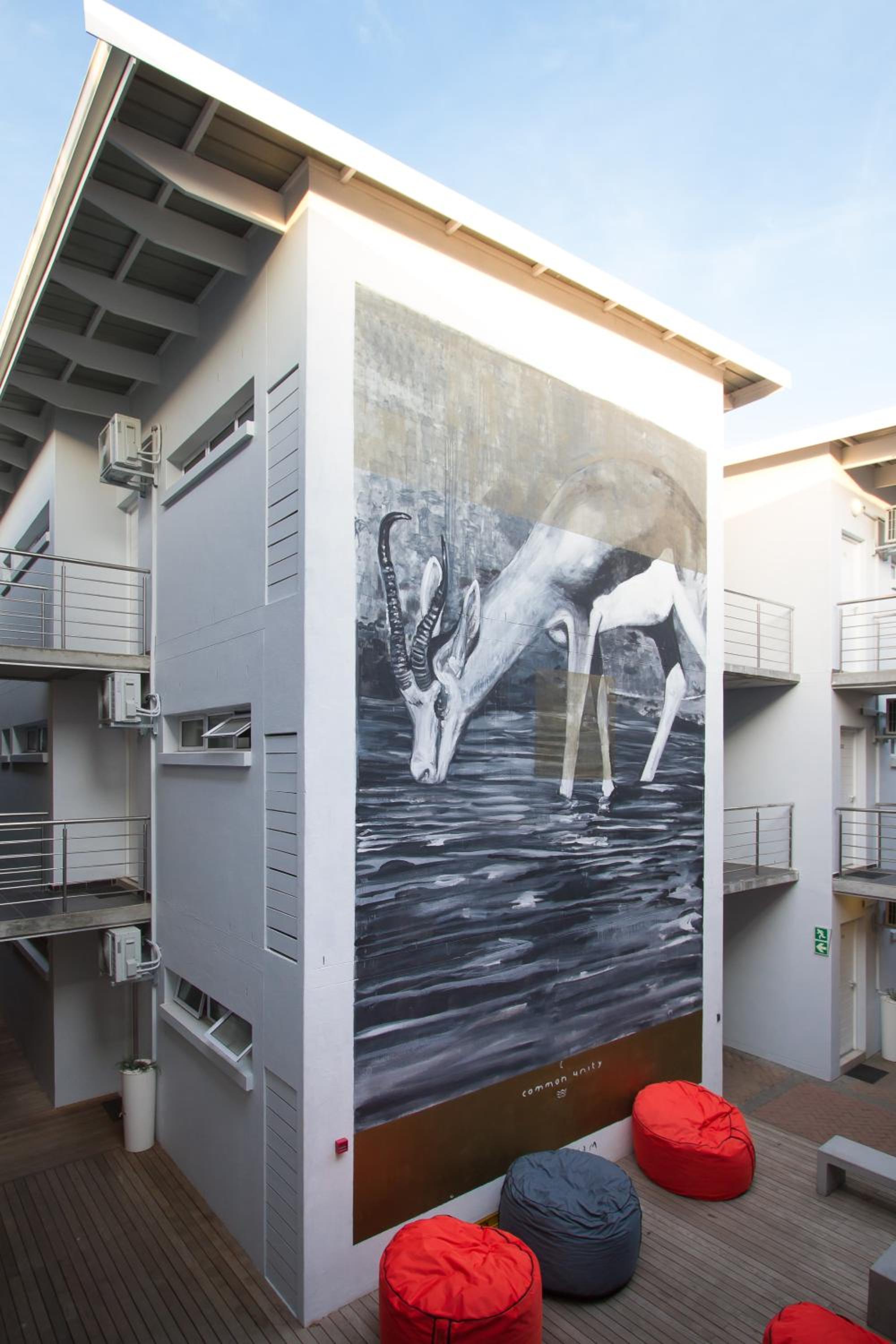 Фото Wink Quiver Tree